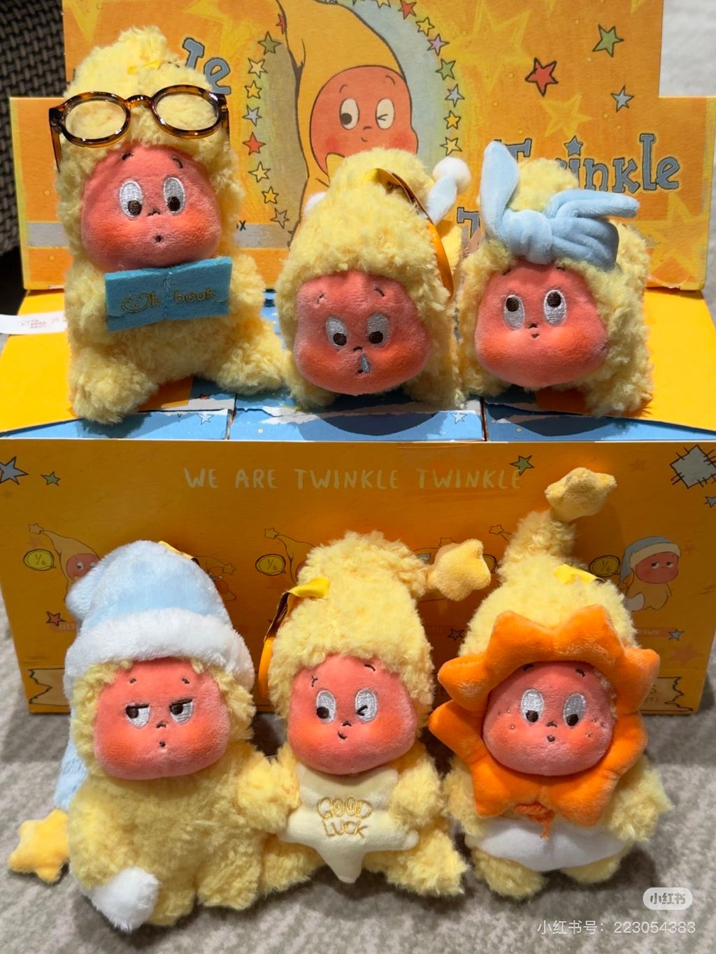 image_0C2666DF-C640-4B11-BD24-52B4B7C0DDC4_1767035533