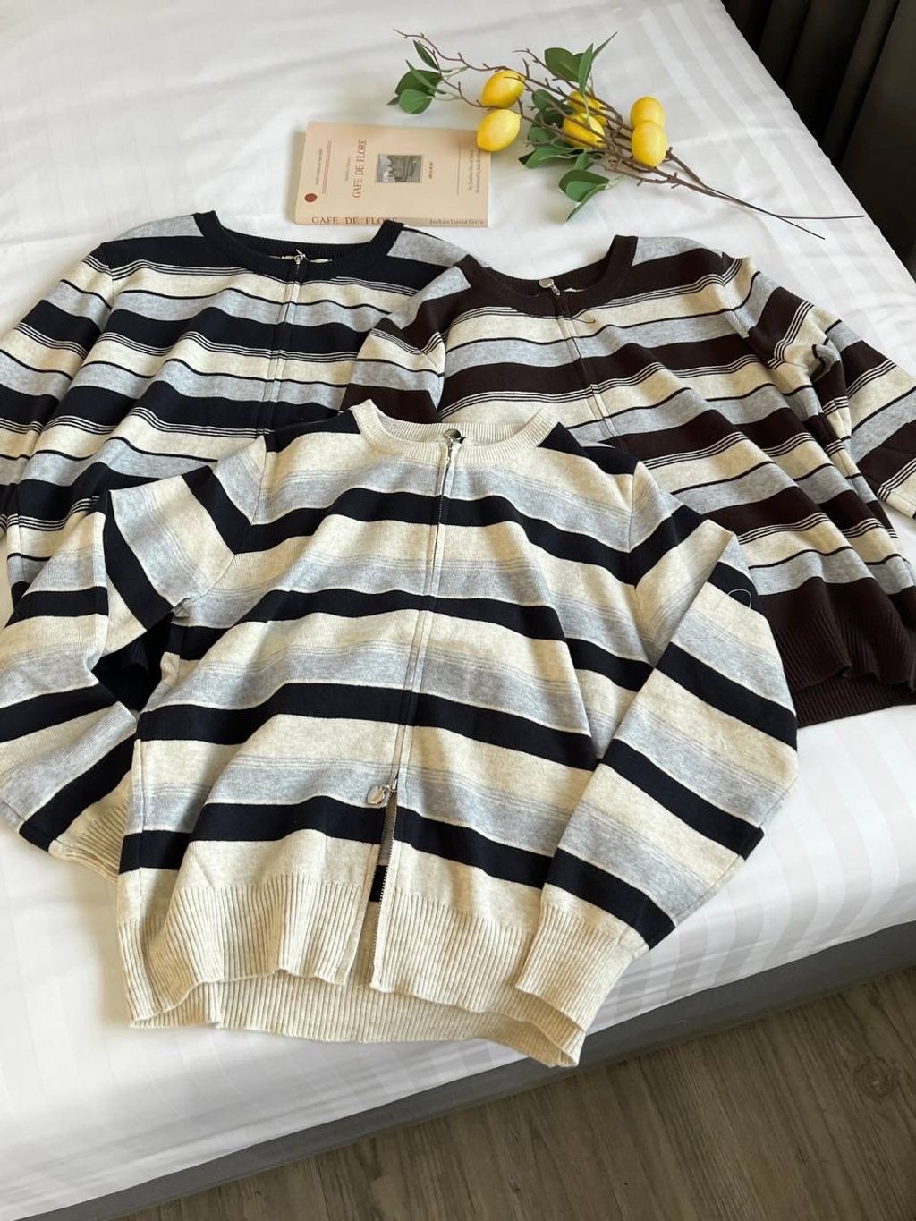 image_64849073-1B12-45B1-9B14-0D68D81A5456_1767068402