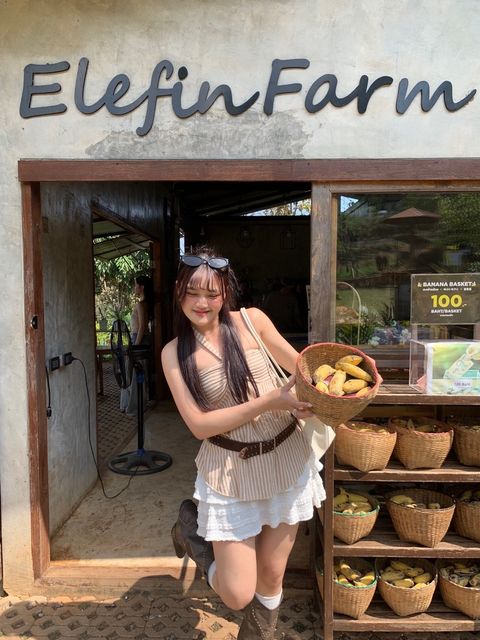 B3233A54-2CED-4FFC-AB7E-DC1B4949B0D2