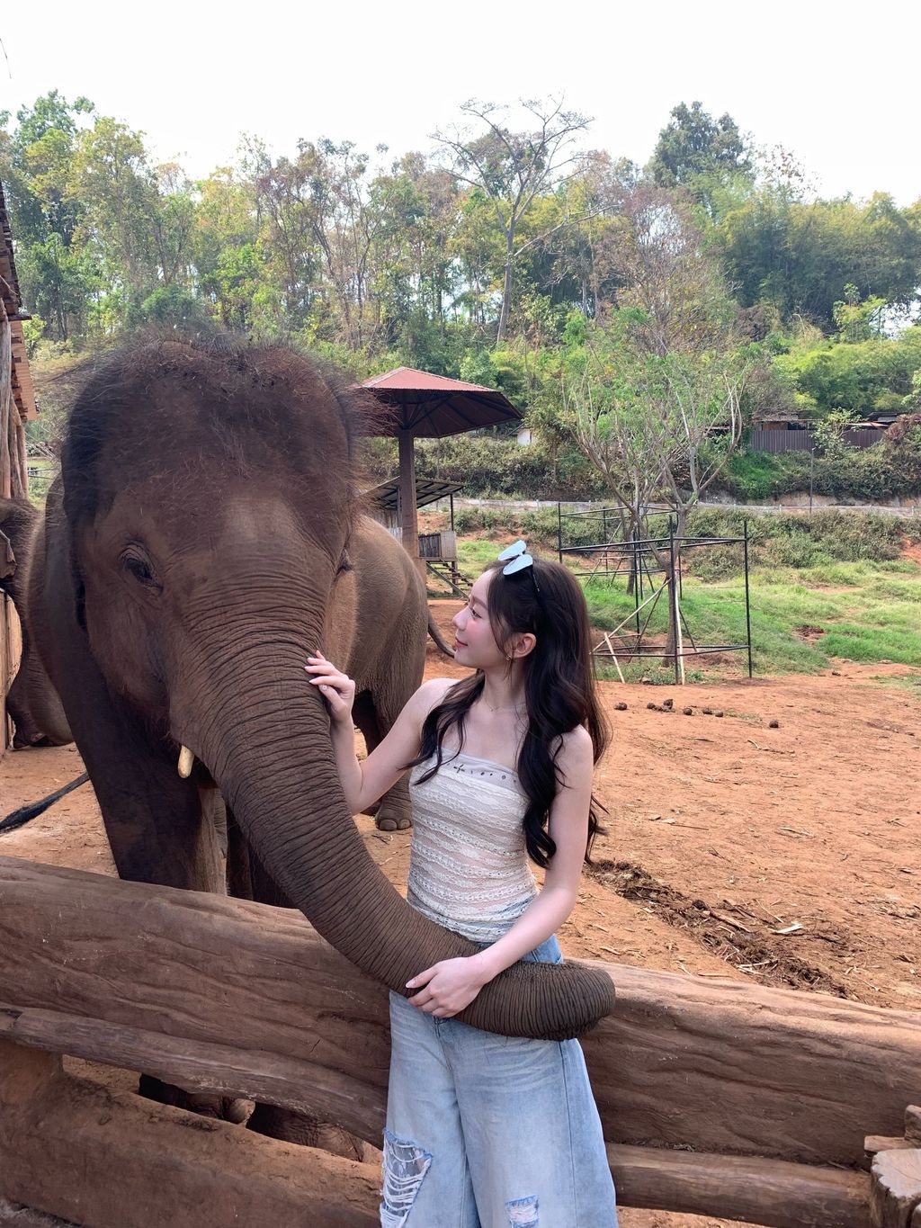 image_7D2BEC92-7CC5-404C-8D72-82CA9EF05D6C_1774854737