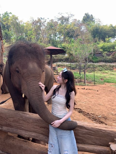 image_7D2BEC92-7CC5-404C-8D72-82CA9EF05D6C_1774854737