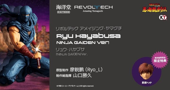 AY_RyuHayabusa_NG 000