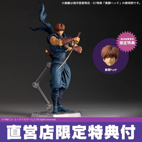 AY_RyuHayabusa_NG 016