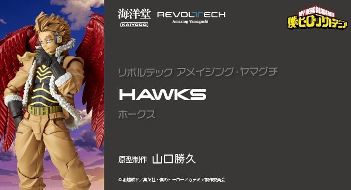 AY_Hawk_MHA 000
