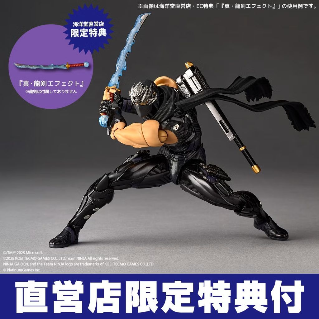 AY_RyuHayabusha_NG4 015
