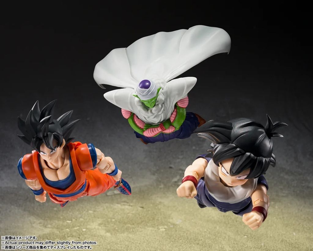 SHF_SonGohan_ZFighters_DBZ 006