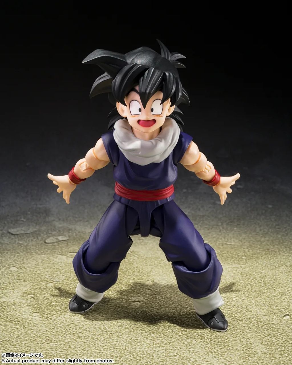 SHF_SonGohan_ZFighters_DBZ 003