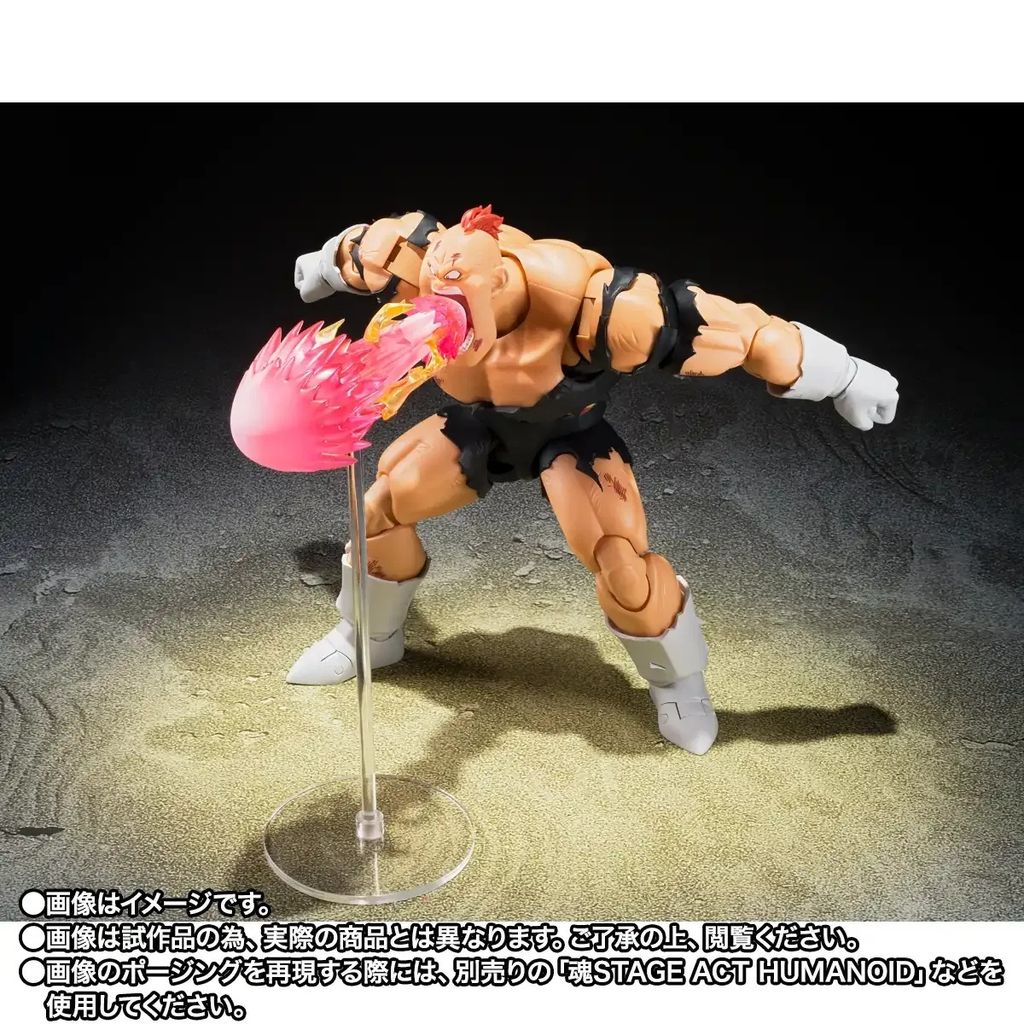 SHF_Recoome_TheNightmareRecoome_DBZ_PB 004