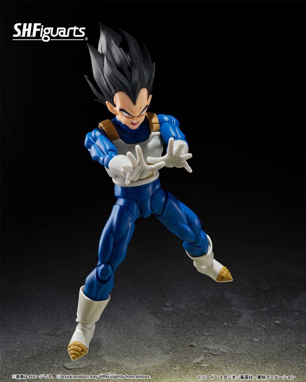 SHF_Vegeta_ZFighters_DBZ 001