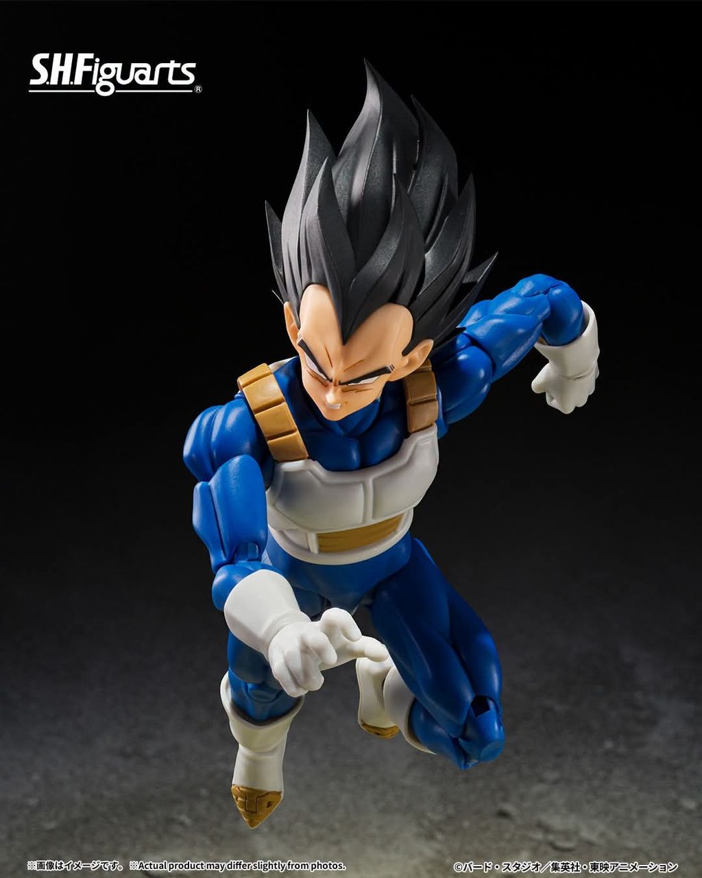 SHF_Vegeta_ZFighters_DBZ 002