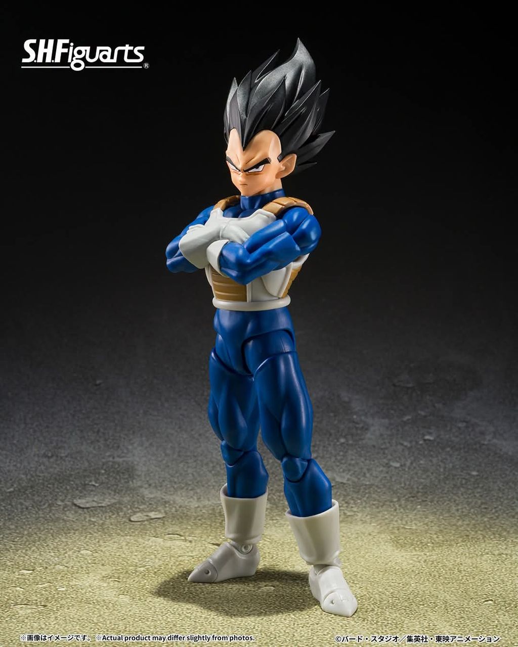 SHF_Vegeta_ZFighters_DBZ 003