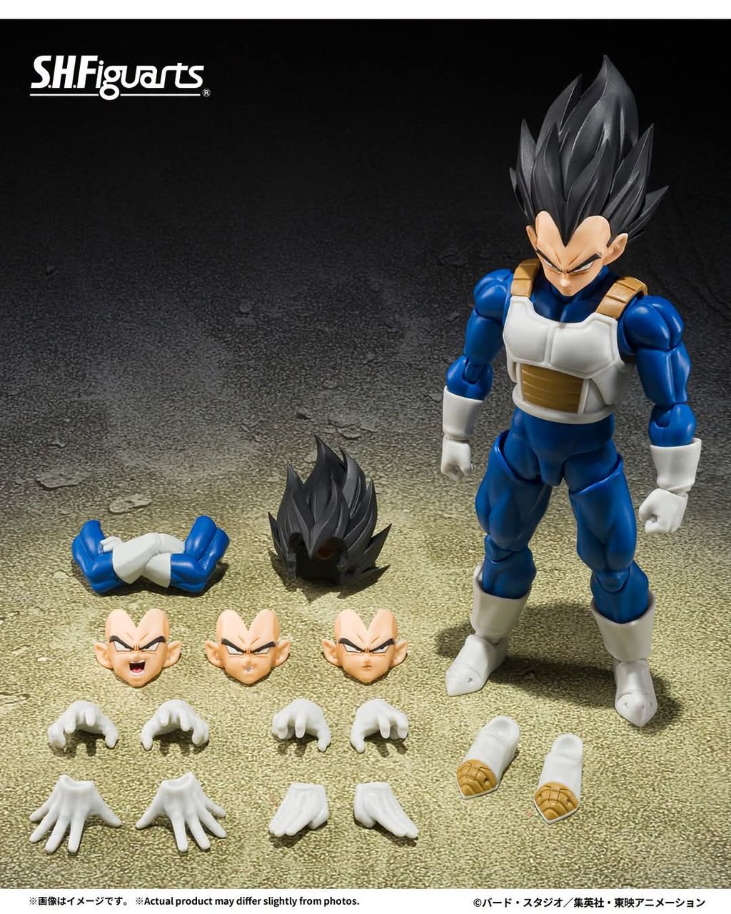 SHF_Vegeta_ZFighters_DBZ 004