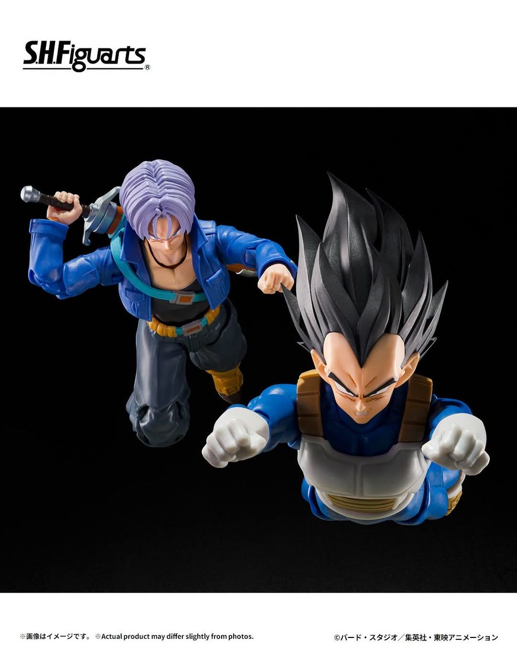SHF_Vegeta_ZFighters_DBZ 005