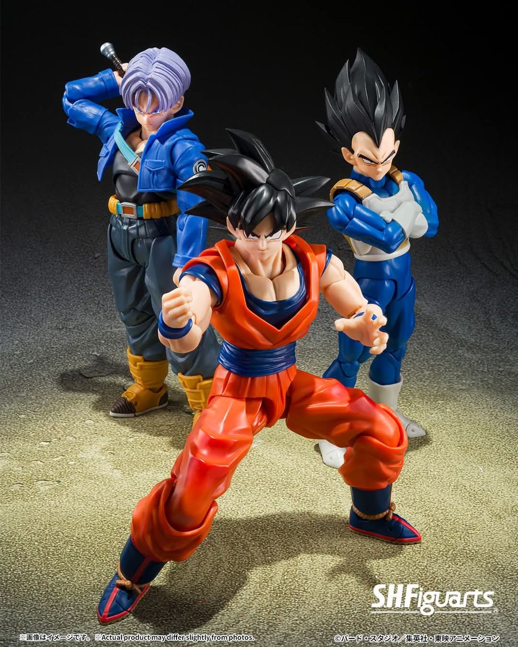SHF_Vegeta_ZFighters_DBZ 006