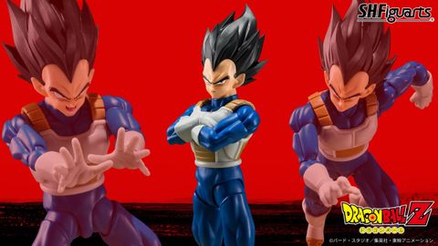 SHF_Vegeta_ZFighters_DBZ 00