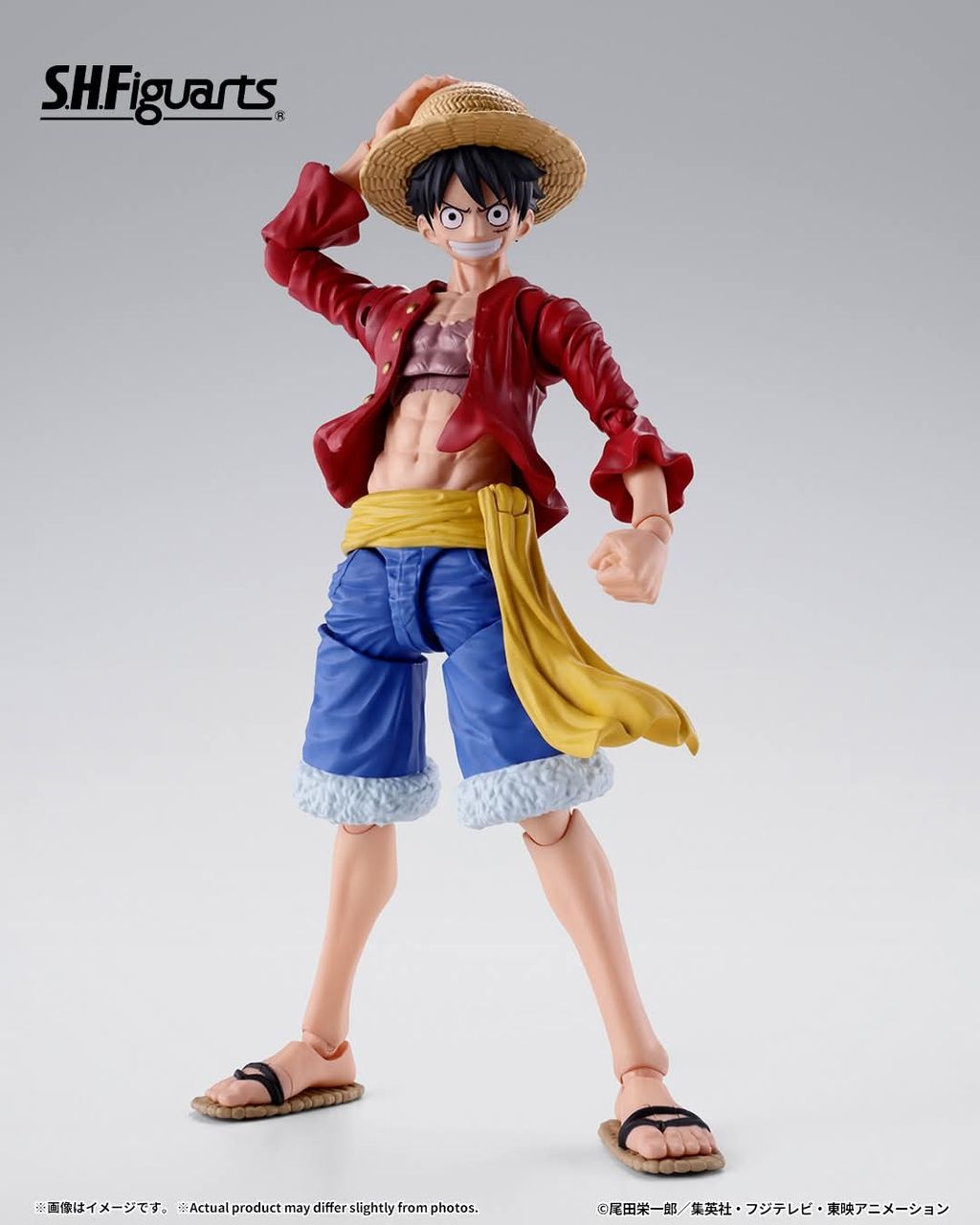 SHF_MonkeyDLuffy_TwoYearsLater_OP 005