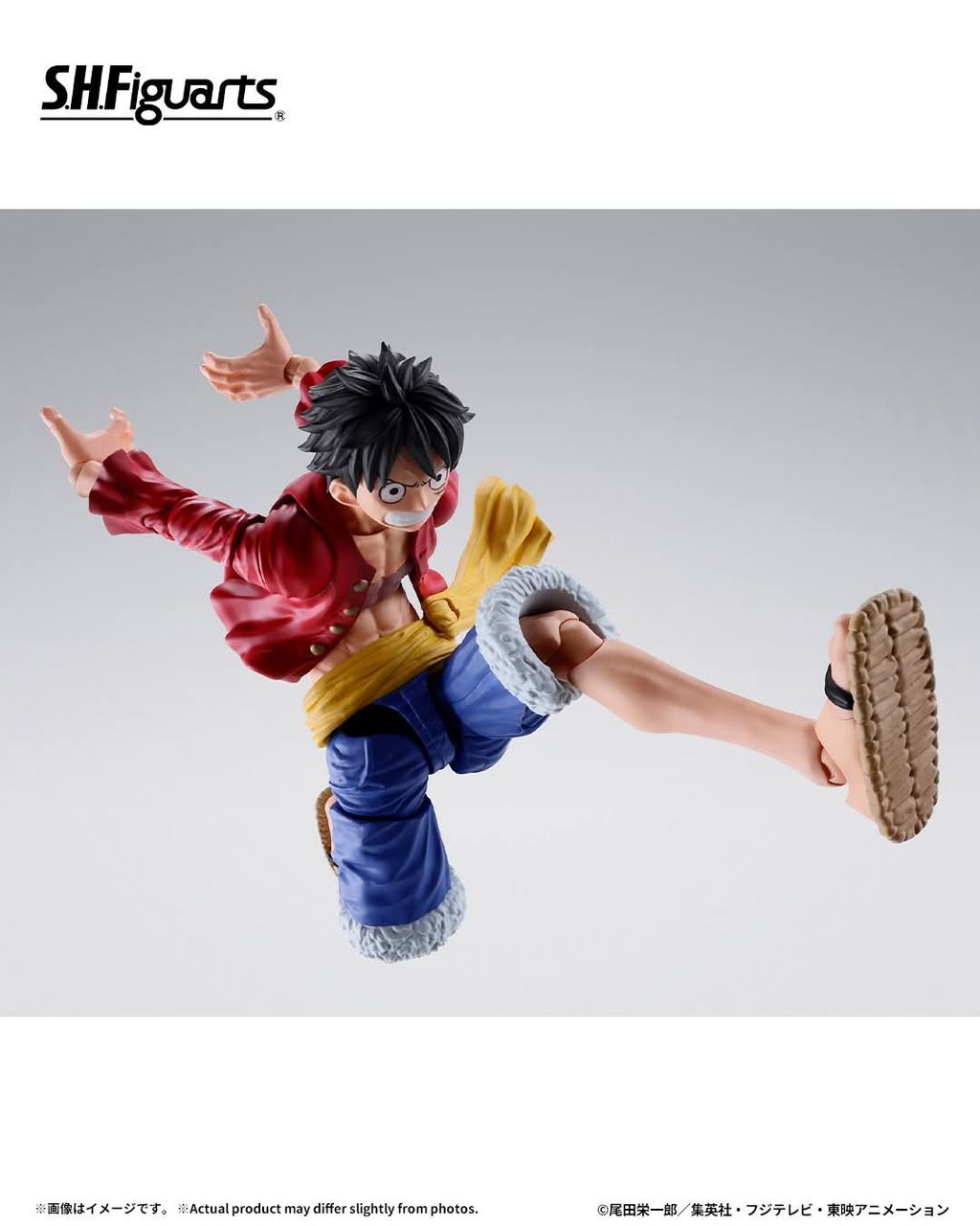 SHF_MonkeyDLuffy_TwoYearsLater_OP 008