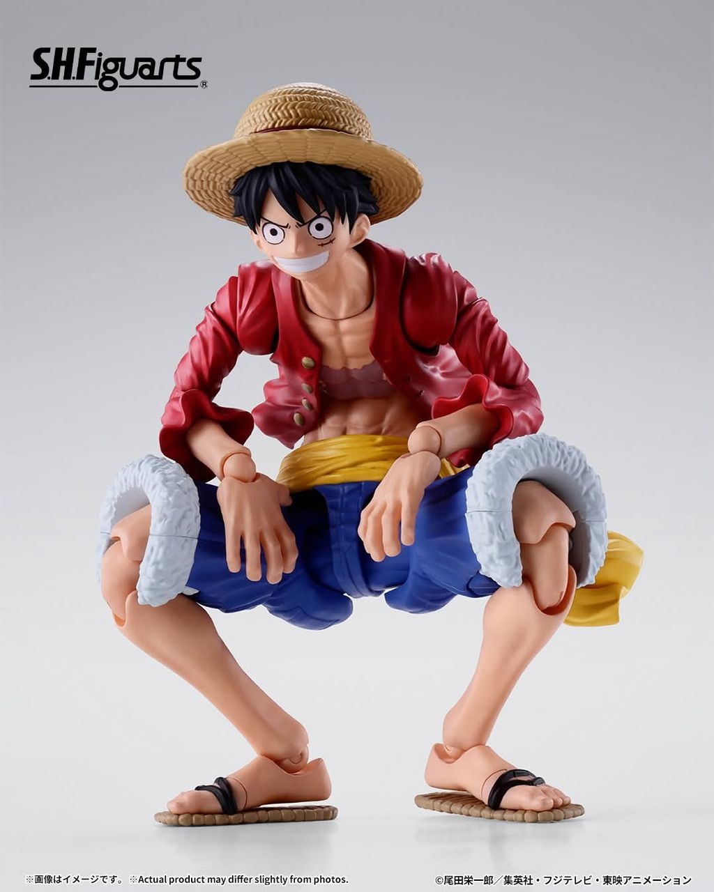 SHF_MonkeyDLuffy_TwoYearsLater_OP 004