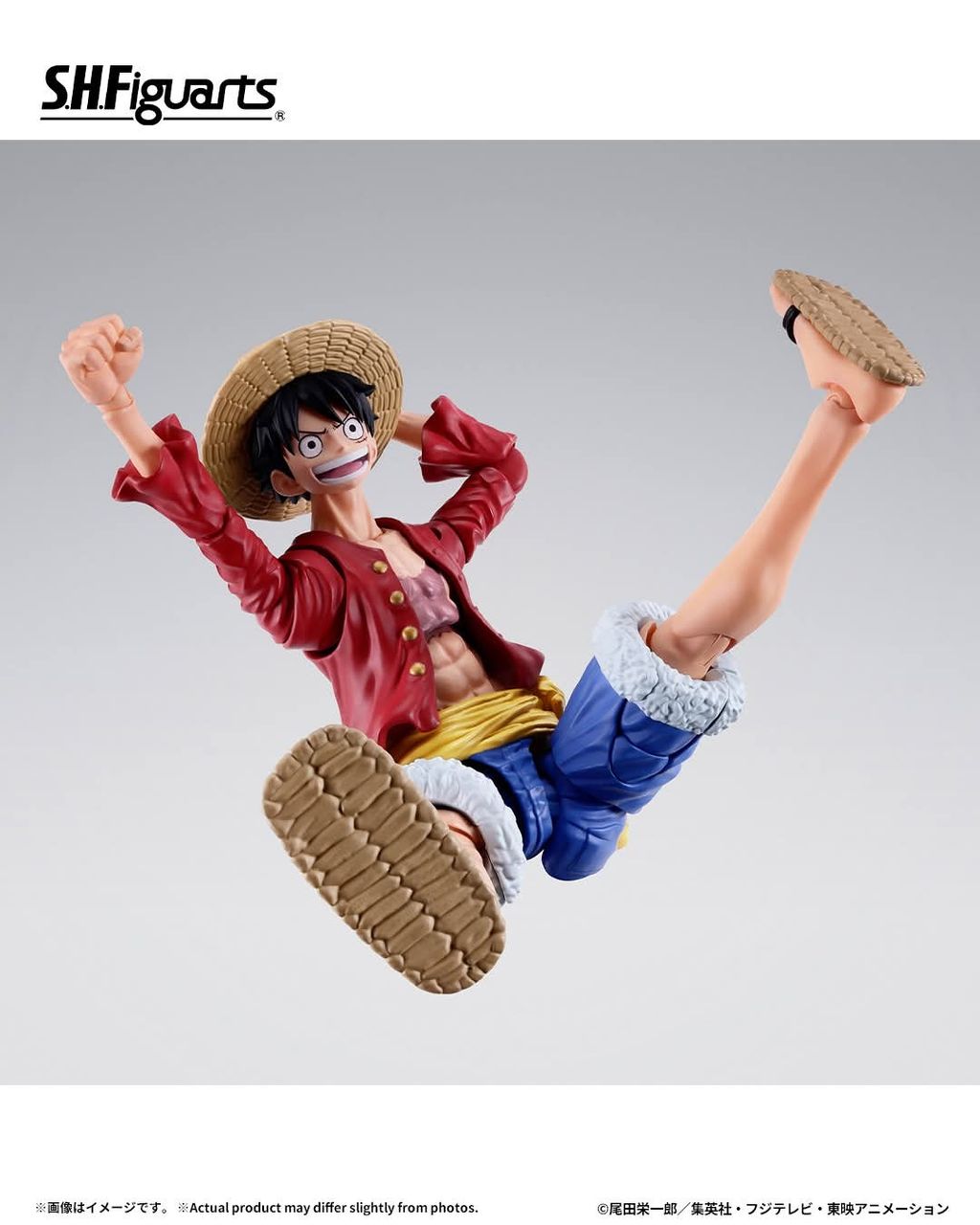 SHF_MonkeyDLuffy_TwoYearsLater_OP 006