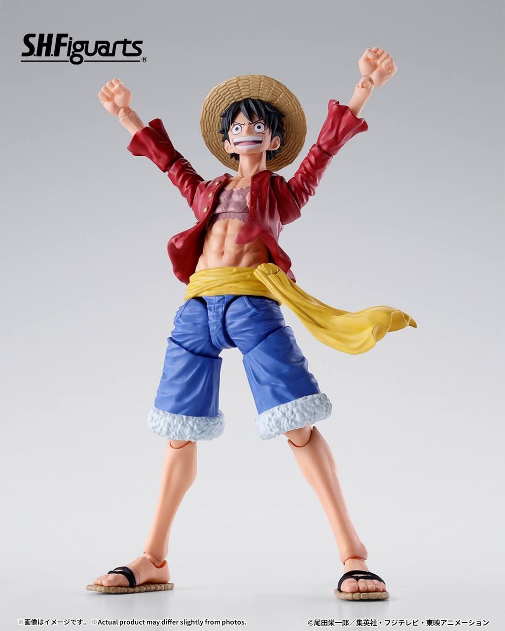SHF_MonkeyDLuffy_TwoYearsLater_OP 001