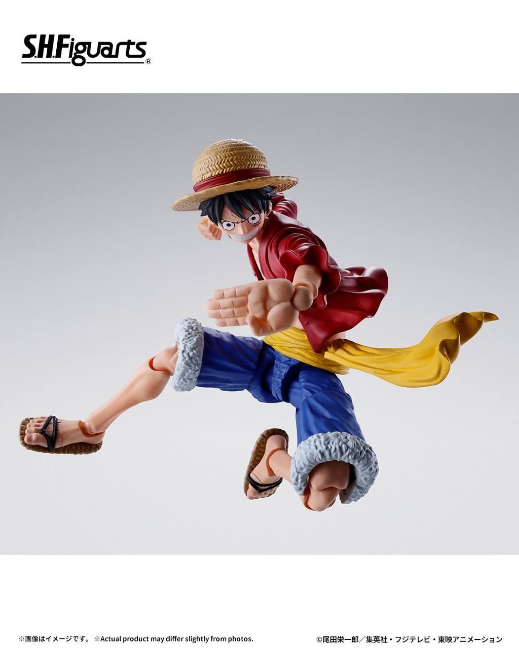 SHF_MonkeyDLuffy_TwoYearsLater_OP 002