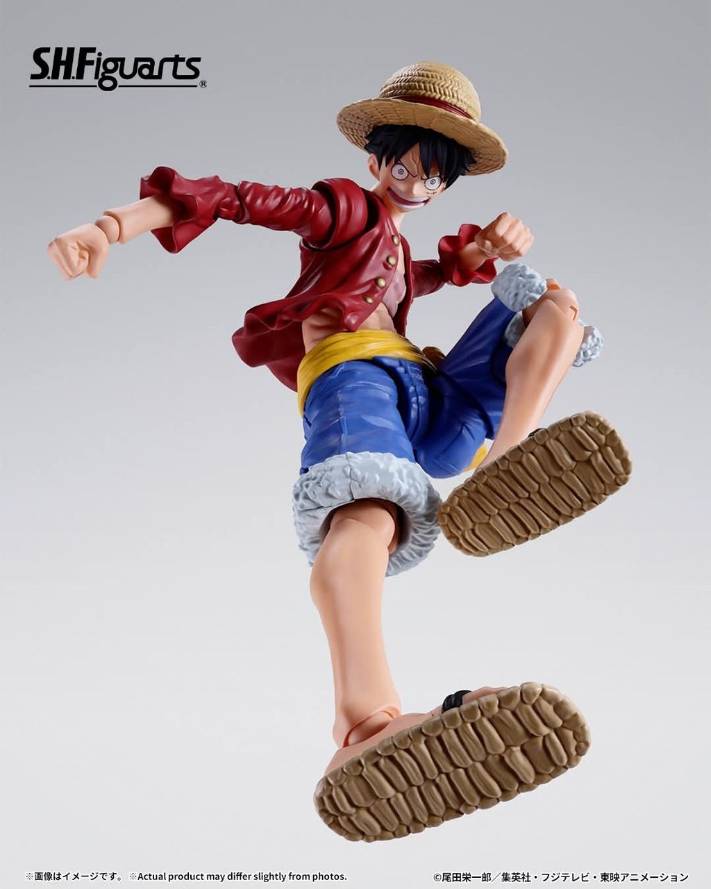 SHF_MonkeyDLuffy_TwoYearsLater_OP 007