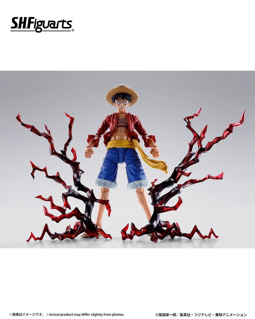 SHF_MonkeyDLuffy_TwoYearsLater_OptionParts_OP 003