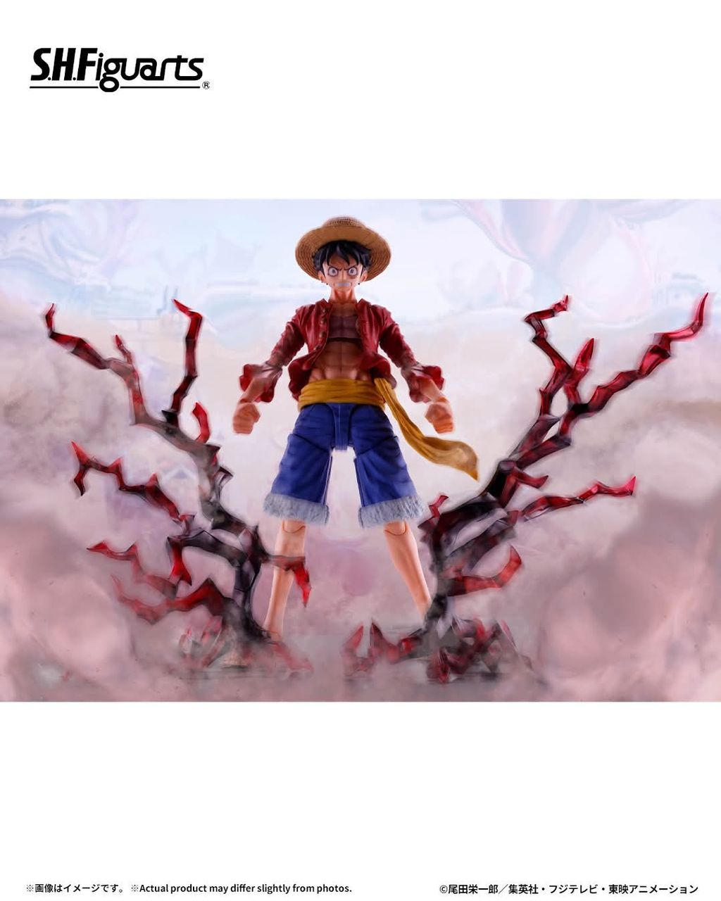 SHF_MonkeyDLuffy_TwoYearsLater_OptionParts_OP 006