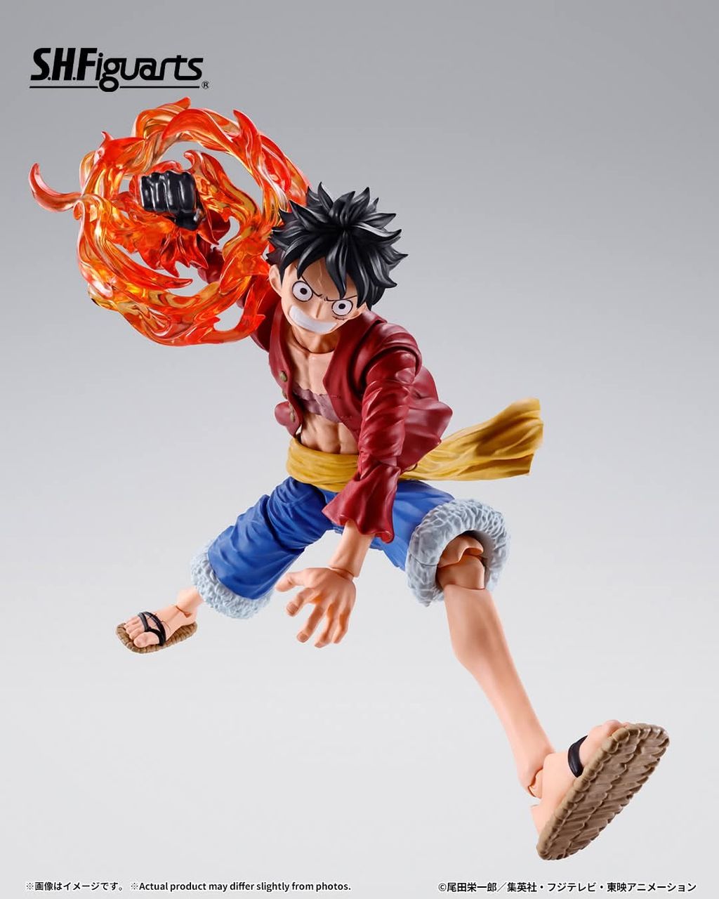 SHF_MonkeyDLuffy_TwoYearsLater_OptionParts_OP 005