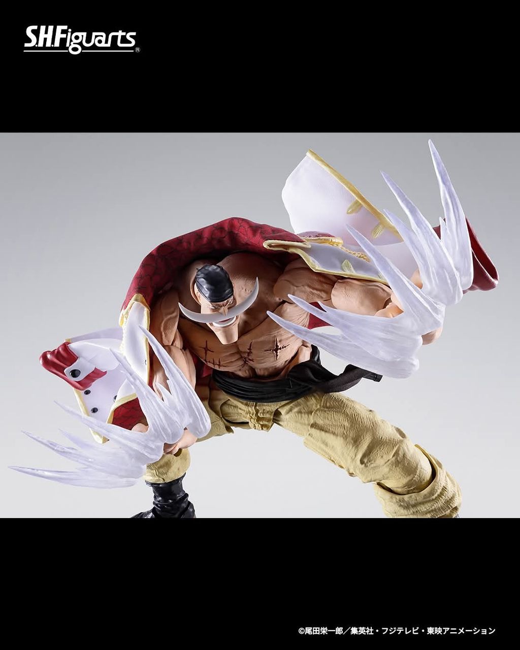 SHF_EdwardNewgate_Whitebeard_Marineford_OP_PB 004