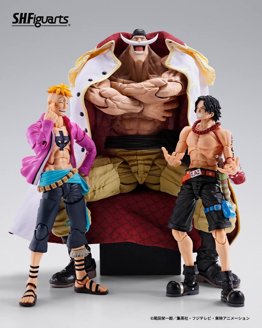 SHF_EdwardNewgate_Whitebeard_Marineford_OP_PB 007