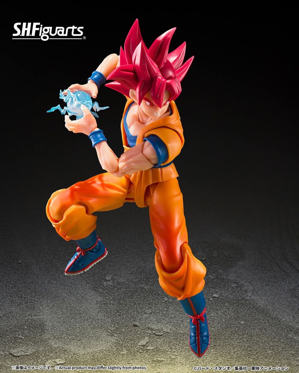 SHF_GodOfDestructionBeerus_TheGodOfDestructionAwakens_DBSB 005