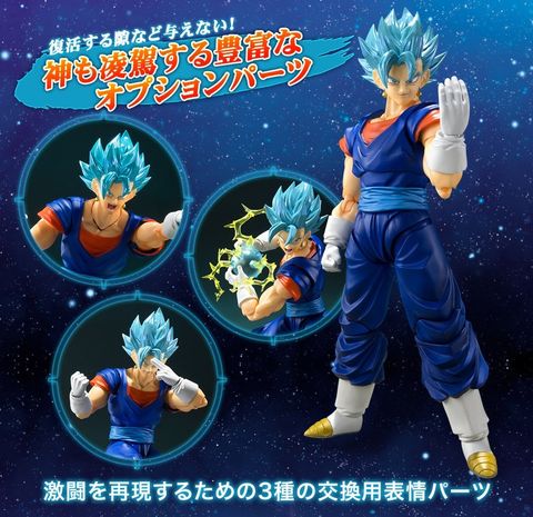 SHF_SSGSS_Vegito_DBS (P) 011.jpg