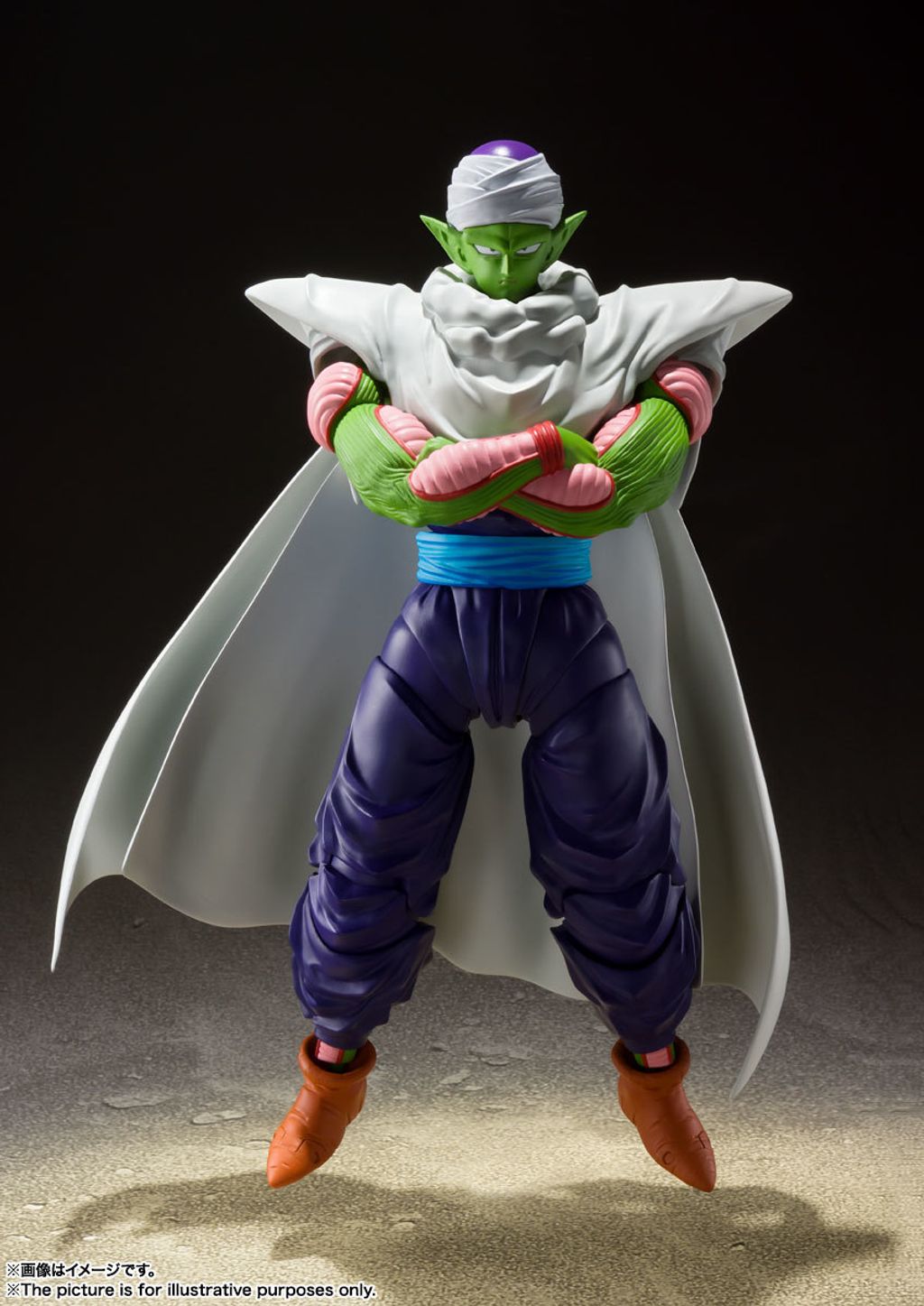 SHF_Piccolo_ProudNamekian_DBZ 006.jpg