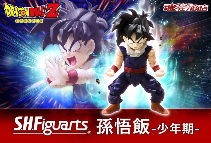 SHF_SonGohan_KidEra_DBZ (P) 00.jpg
