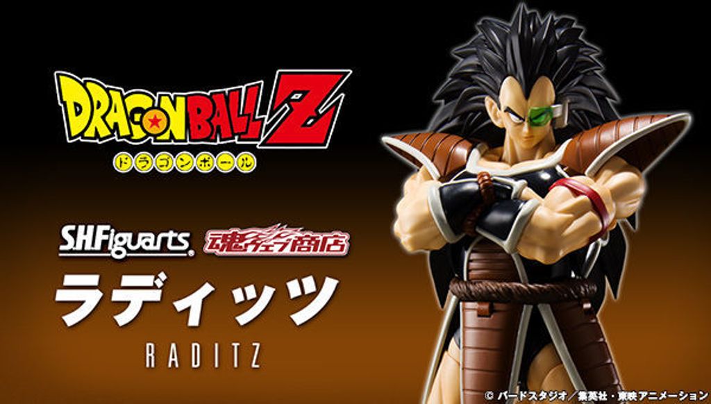 SHF_Raditz_DBZ (P) 00.jpg