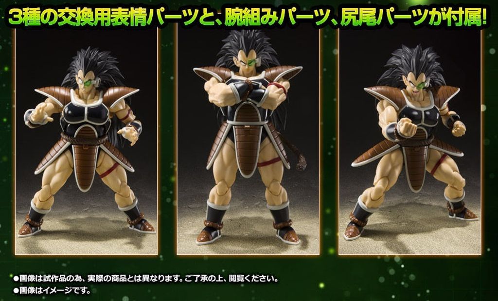 SHF_Raditz_DBZ (P) 012.jpg