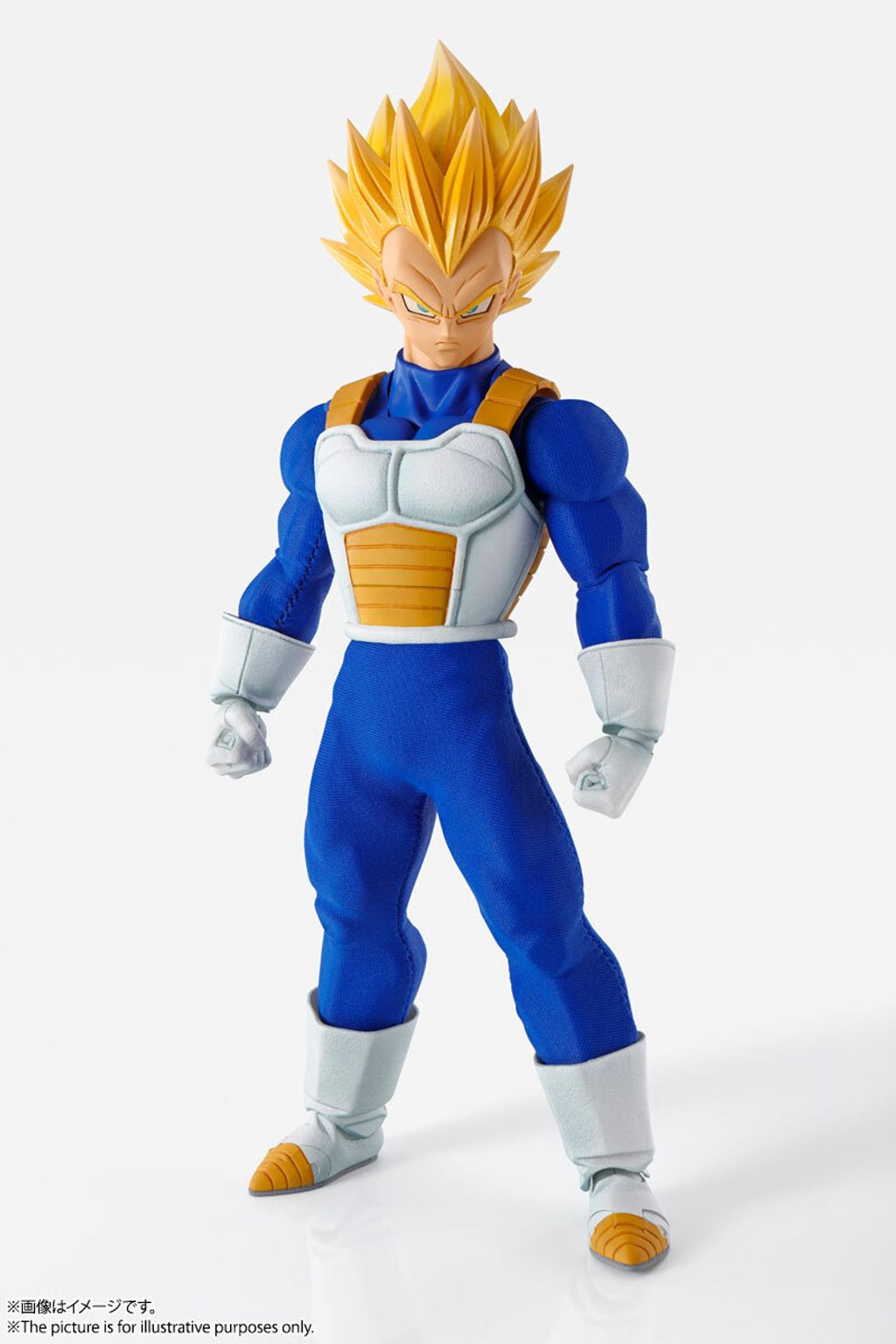 IW_Vegeta_DBZ 002.jpg