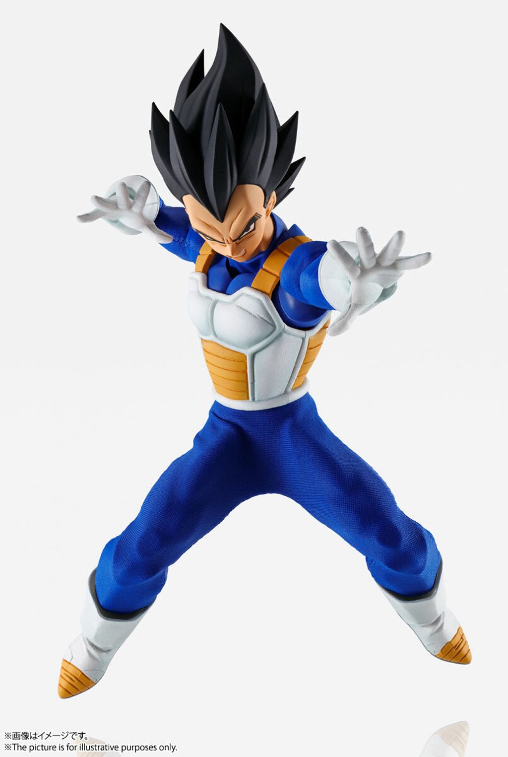 IW_Vegeta_DBZ 004.jpg