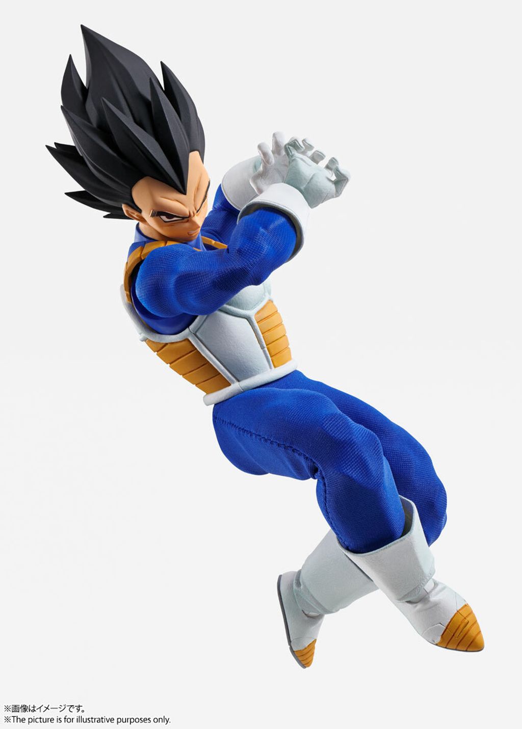 IW_Vegeta_DBZ 005.jpg