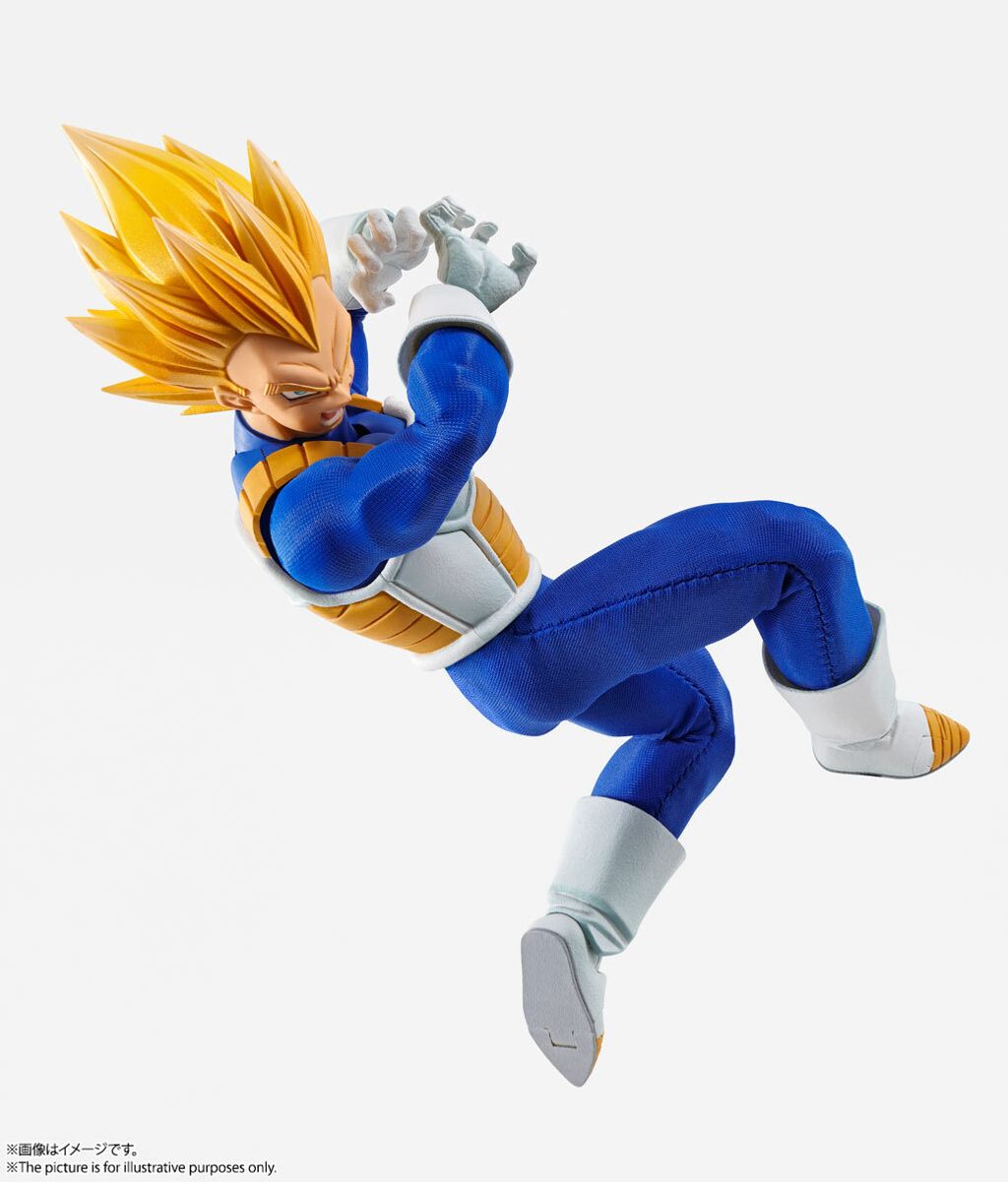 IW_Vegeta_DBZ 006.jpg