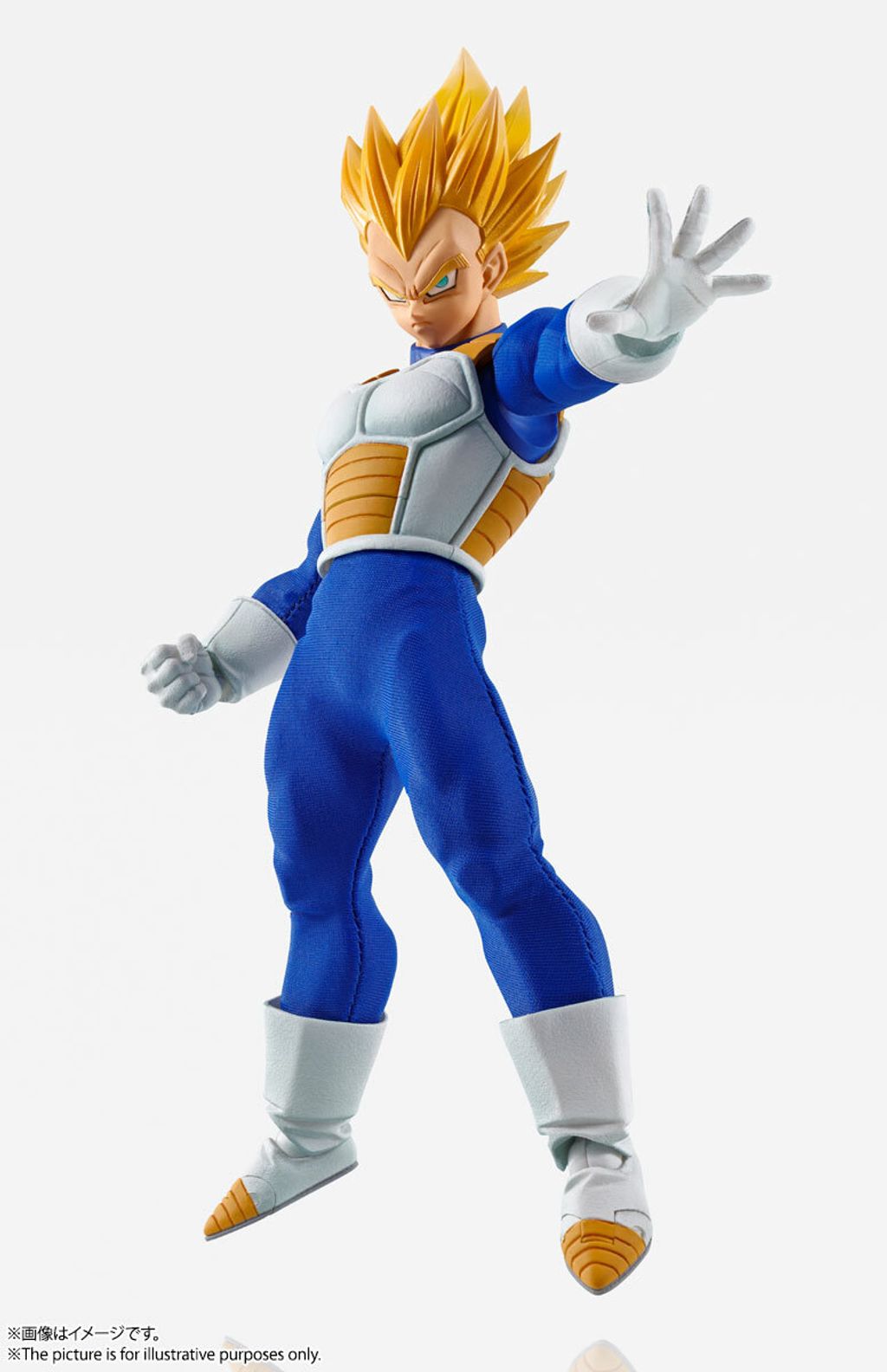 IW_Vegeta_DBZ 007.jpg