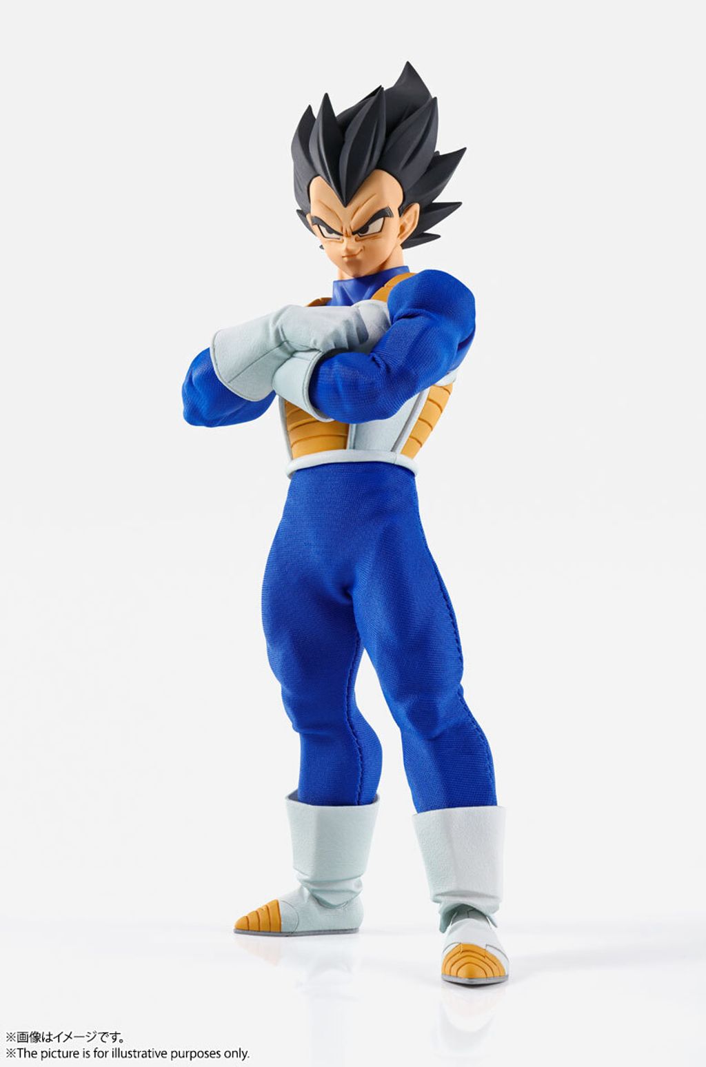 IW_Vegeta_DBZ 009.jpg