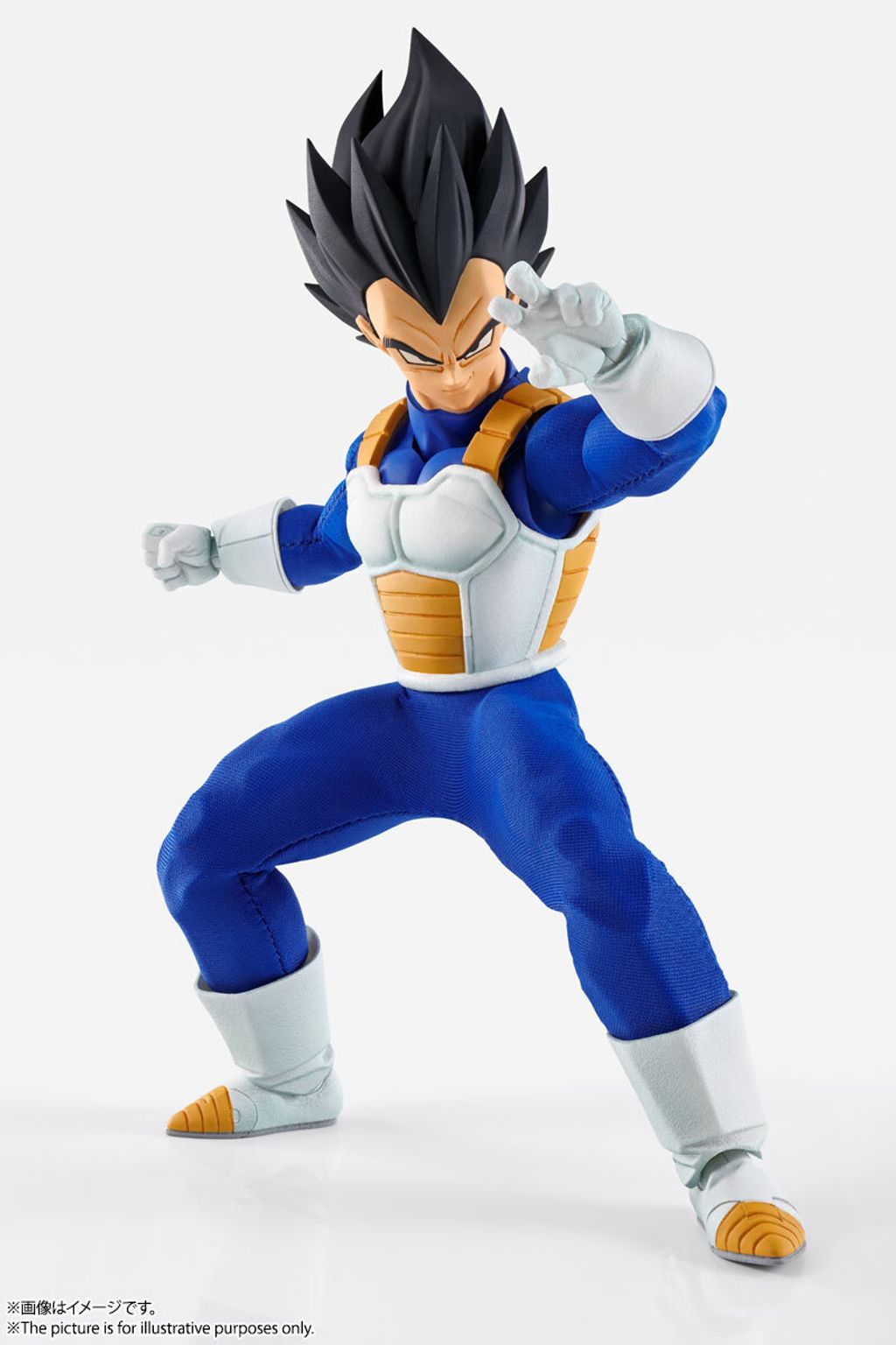 IW_Vegeta_DBZ 010.jpg