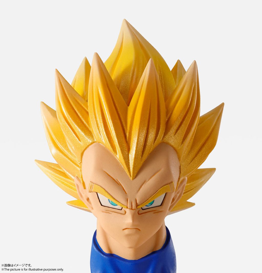 IW_Vegeta_DBZ 012.jpg