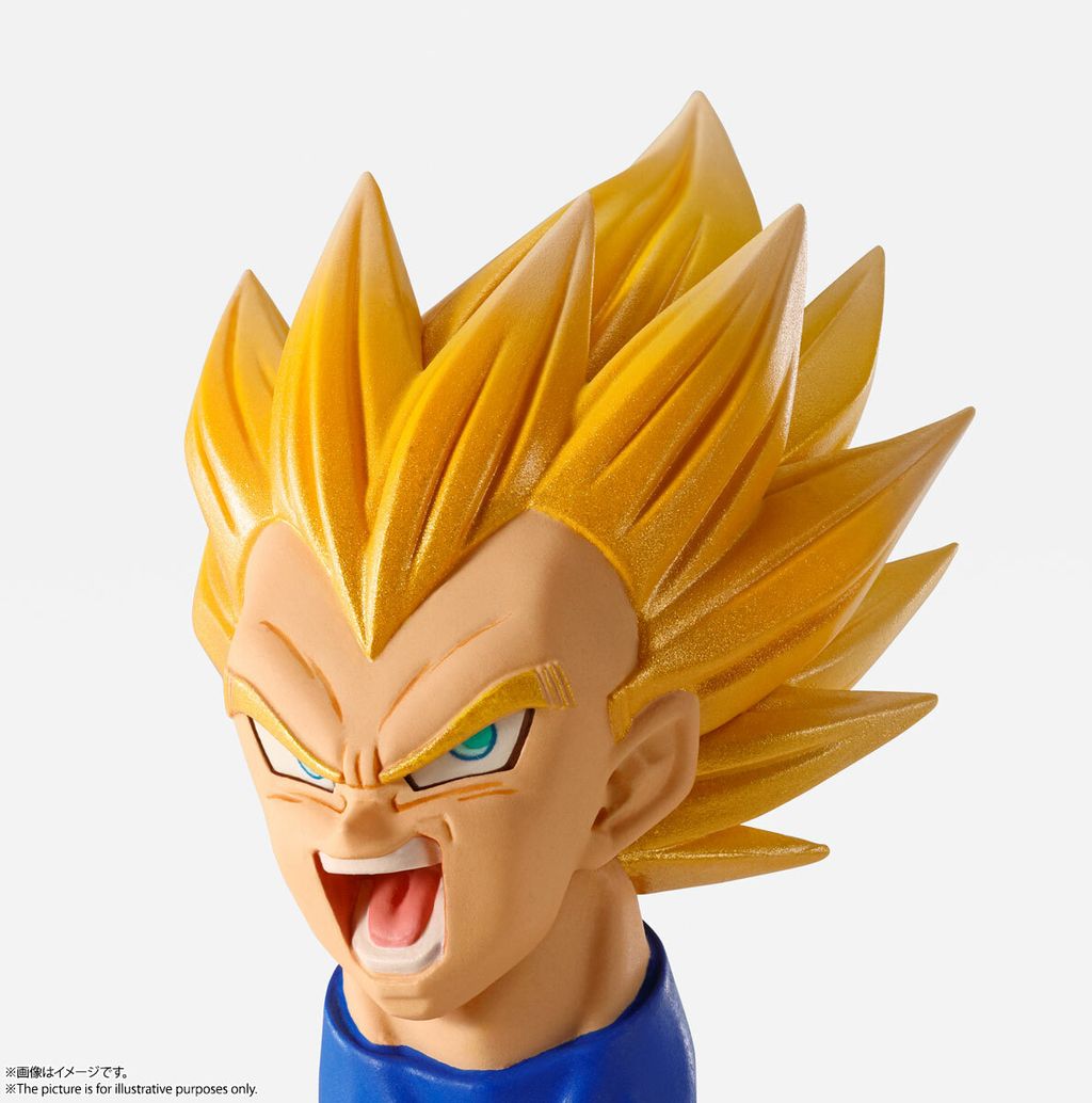 IW_Vegeta_DBZ 013.jpg