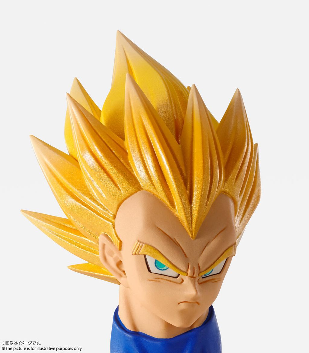 IW_Vegeta_DBZ 014.jpg