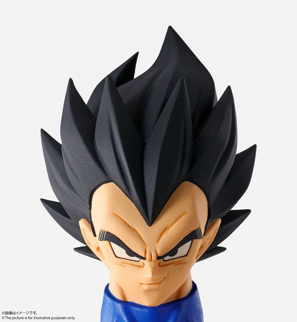 IW_Vegeta_DBZ 015.jpg