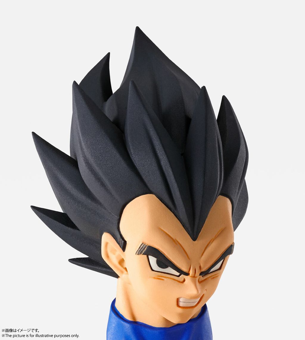 IW_Vegeta_DBZ 016.jpg