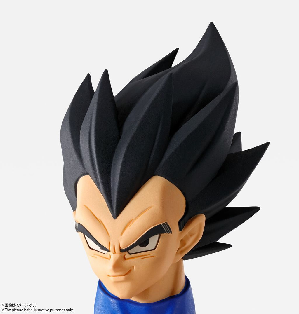 IW_Vegeta_DBZ 017.jpg